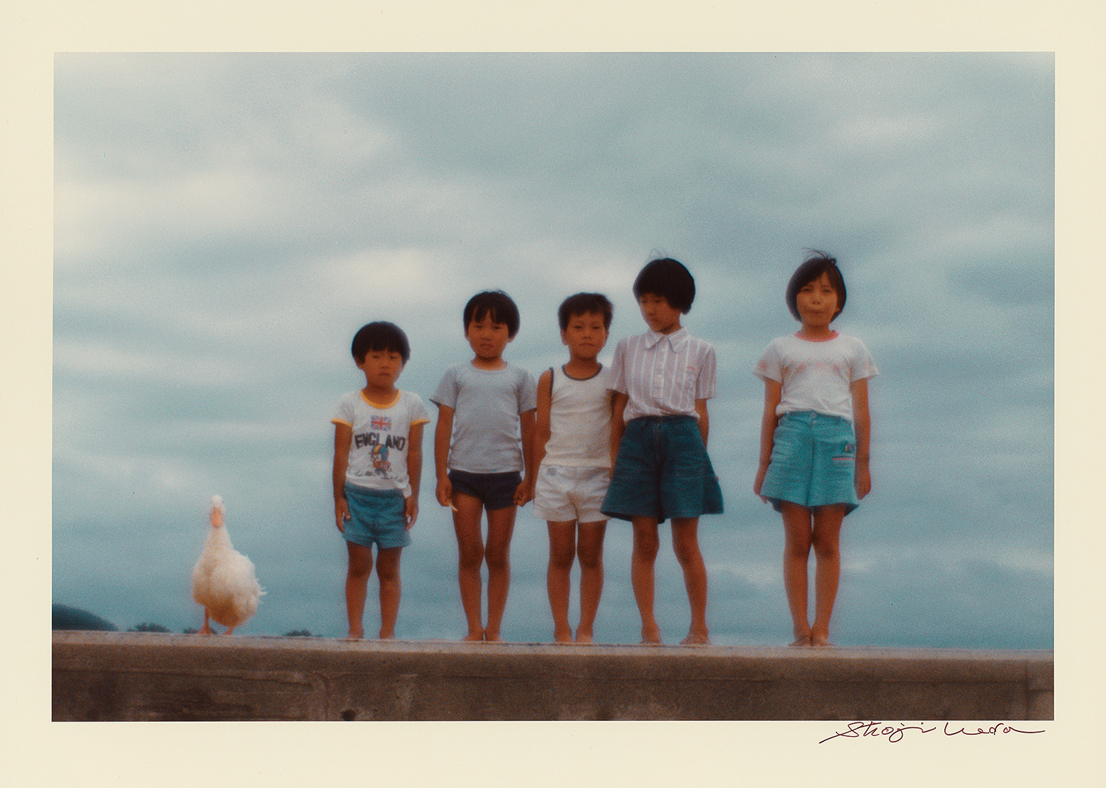 「白い風」より（1981年） 