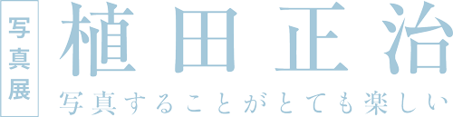 都城市立美術館 特別展 植田正治「写真することがとても楽しい」